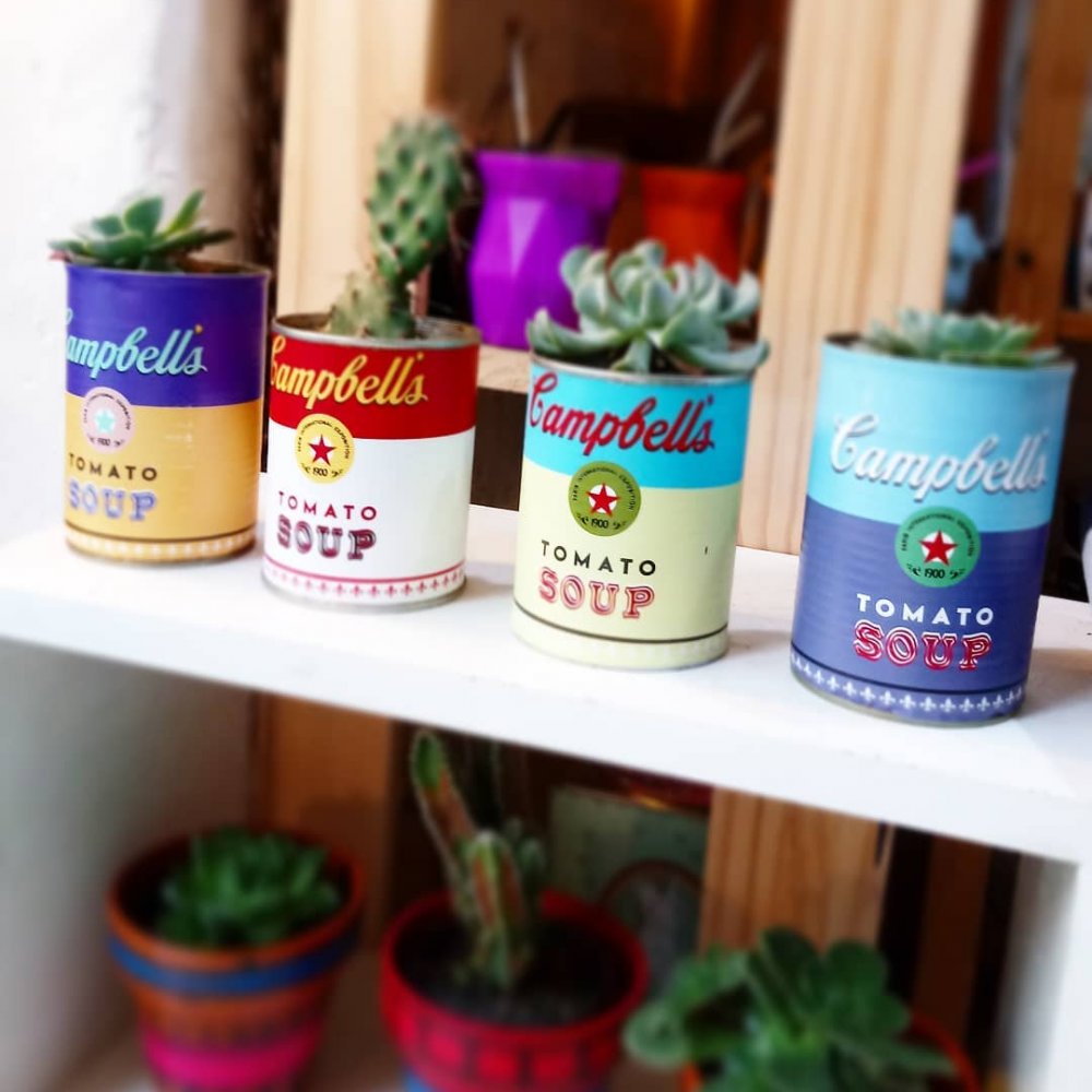latas-cambells-con-suculentas