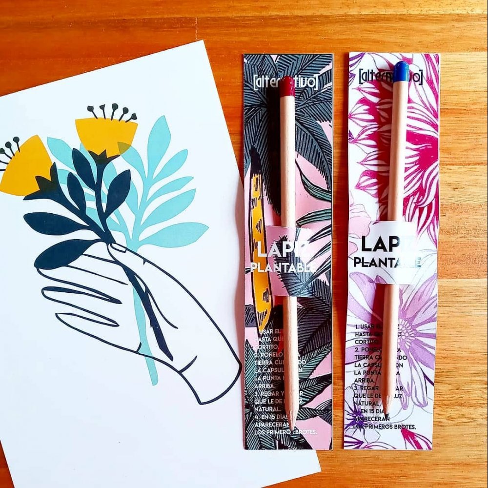 lapiz-plantable-228