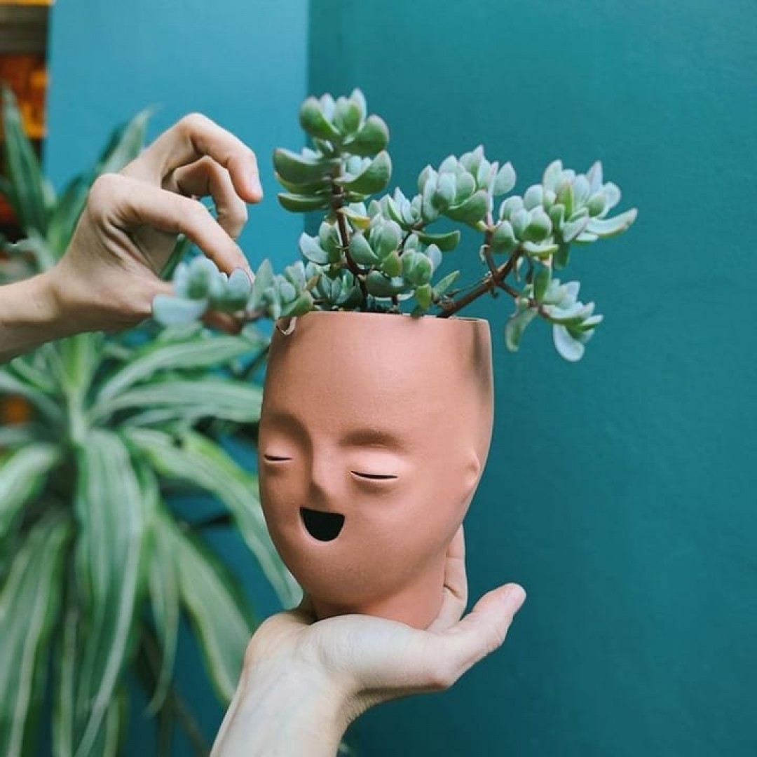 maceta-zen