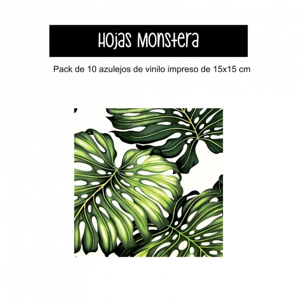 azulejo-monstera-68